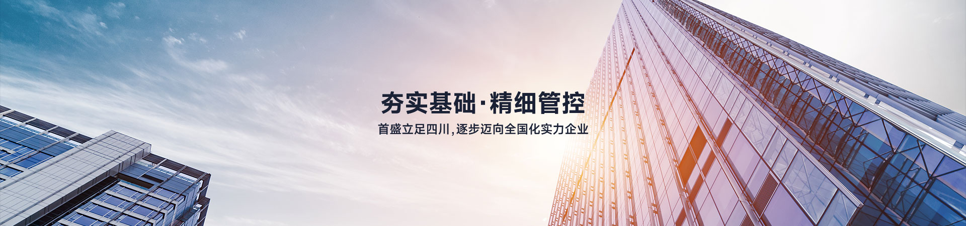 分公司布局